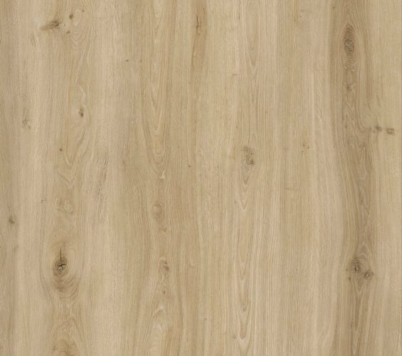 SPC - 'Dune Crest Oak'